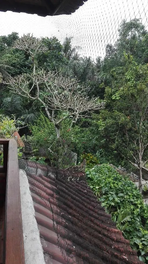*** Penzion Topok House Ubud Indonésie